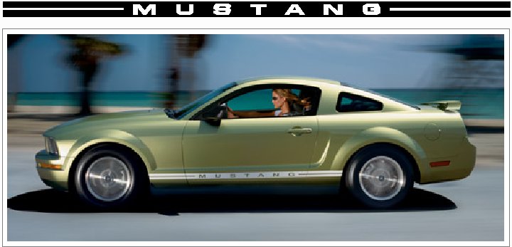 Custom Logo Sign Design Stang_Stripe Decal Sticker made to your Specifications by your Sign Specialist