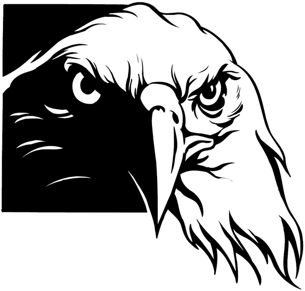 Eagle's face vinyl sticker. Customize on line. Animals Insects Fish Bald Eagle 004-0793 
