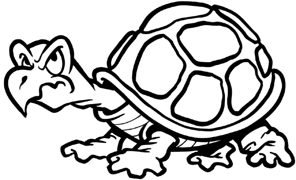 Grumpy looking turtle vinyl sticker. Customize on line.       Animals Insects Fish 004-0875  