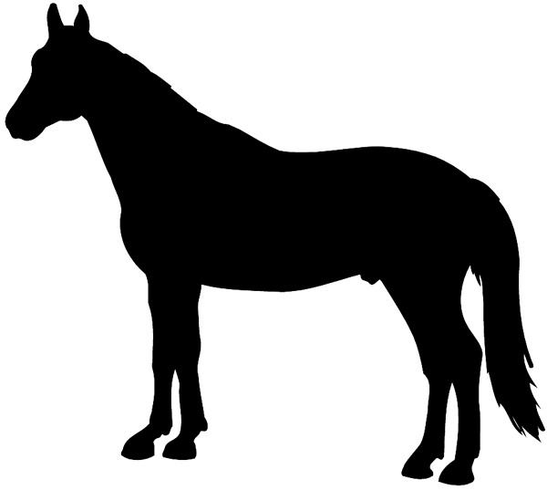 Standing horse silhouette vinyl sticker. Customize on line.      Animals Insects Fish 004-0898  