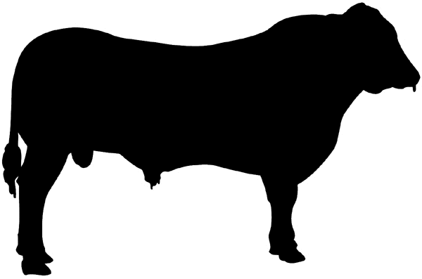 Bull in silhouette vinyl sticker. Customize on line. Animals Insects Fish 004-0911  