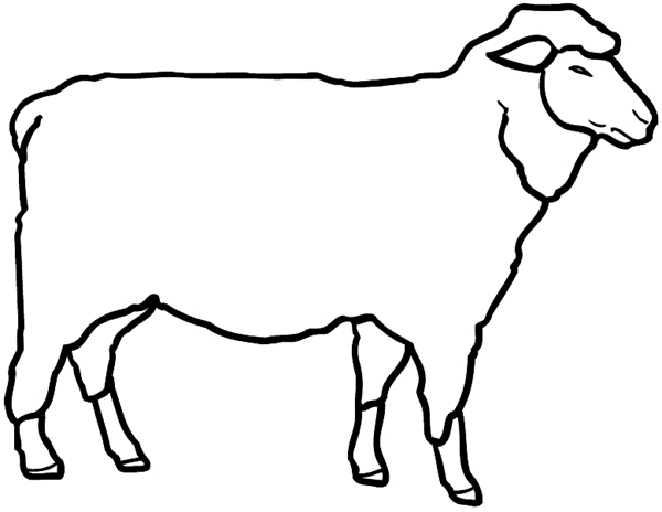 Sheep vinyl sticker. Customize on line.     Animals Insects Fish 004-1324  