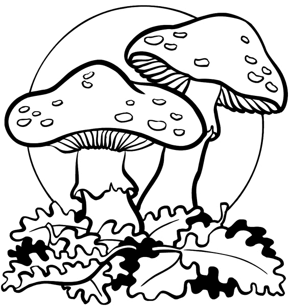 Toadstools and leaves in front of a full moon vinyl sticker. Customize on line.       Autumn Fall 006-0138  