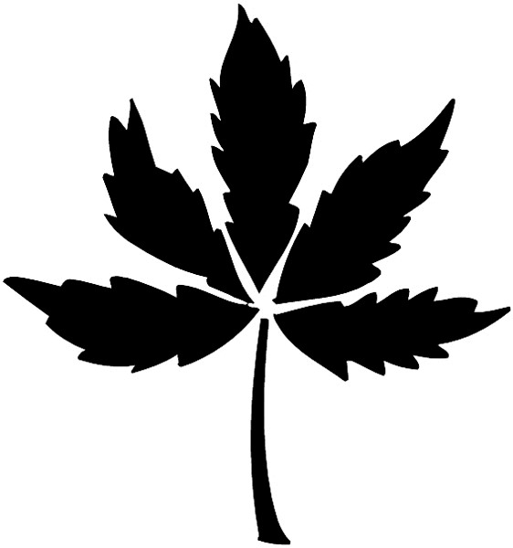 Leaf silhouette vinyl sticker. Customize on line.  Flowers Trees Plants 039-0353