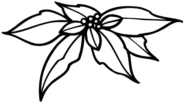 Poinsettia leaves vinyl sticker. Customize on line. Flowers Trees Plants 039-0374