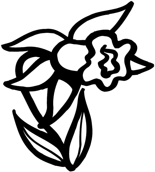 Daffodil vinyl sticker. Customize on line. Flowers Trees Plants 039-0387
