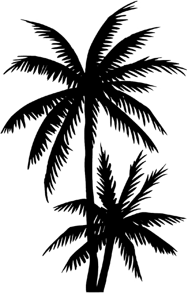 Palm trees vinyl sticker. Customize on line. Flowers Trees Plants 039-0397