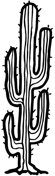 Large cactus plant vinyl sticker. Customize on line. Flowers Trees Plants 039-0402