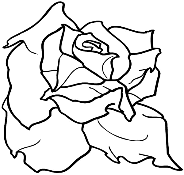 Beautiful rose vinyl decal. Customize on line. Flowers Trees Plants 039-0447