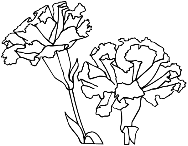 Two carnations vinyl sticker. Customize on line. Flowers Trees Plants 039-0453
