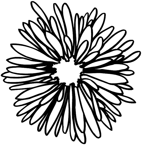 Beautiful chrysanthemum vinyl sticker. Customize on line. Flowers Trees Plants 039-0458