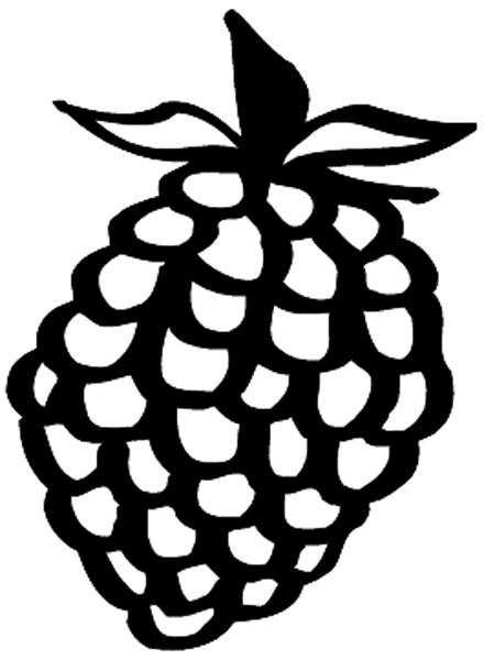 Berry vinyl decal. Customize on line. Fruit Vegetables 042-0234