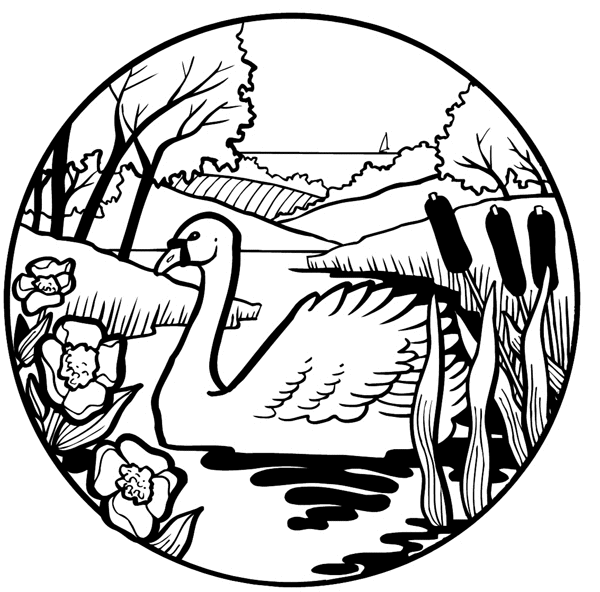 Beautiful swan in a pond scene vinyl sticker. Customize on line. Summer 088-0209
