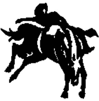 cowboy17 - Bronc Busting action vinyl decal customized on line. 