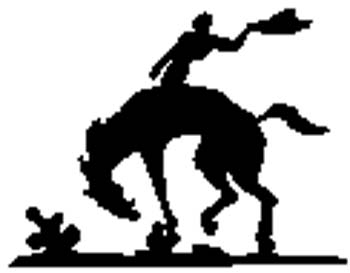 Bronc Buster Silhouette vinyl decal. Personalize on line.  cowboy2 - 