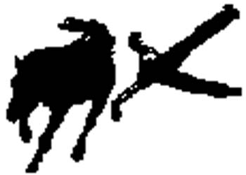 cowboy5 - Bronc Buster silhouette vinyl decal customized on line.