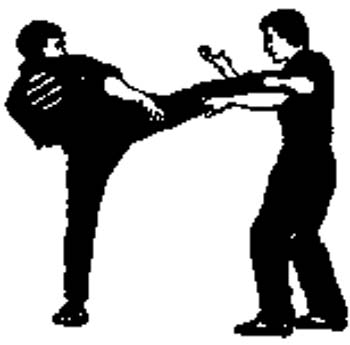 sports- Two karate fighters sports vinyl decal. Customize on line. 