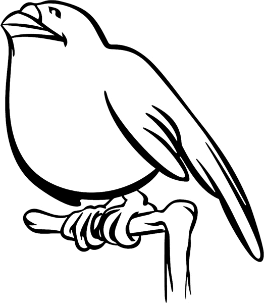 Bird on a branch vinyl sticker. Customize on line. animals24 bird sticker