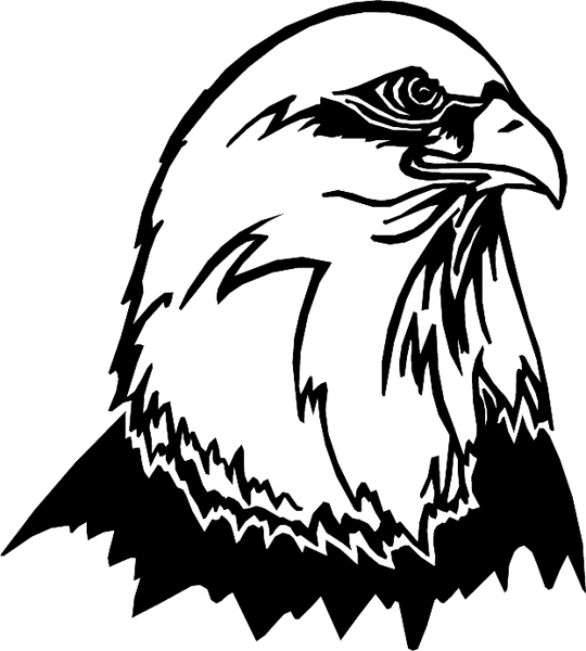Majestic Eagle Head graphic sticker. Great Mascot Choice. Customize on line. animals7009 