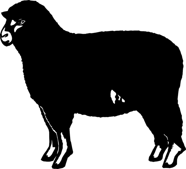 Black Sheep vinyl sticker. Customize on line. animals7022 sheep vinyl sticker