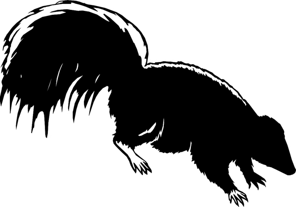 animals7024 Skunk vinyl graphic decal. Customize on line. decal