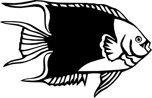 Tropical Fish vinyl sticker. Customize on line. aquaticanglfish angel fish