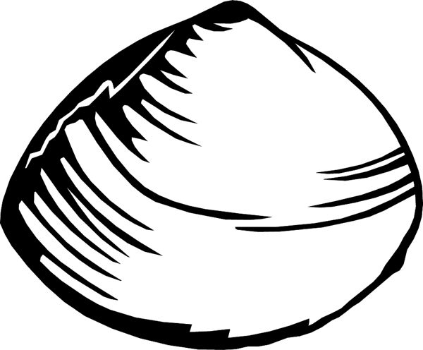 Clam Shell vinyl sticker. Personalize on line. aquaticclam