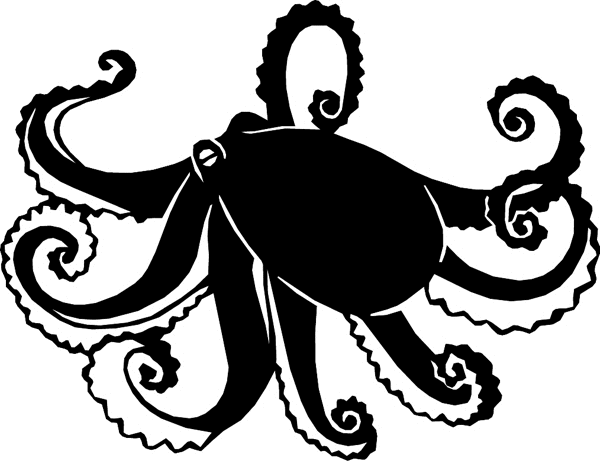 Octopus vinyl graphic sticker. Customize on line. aquaticoctopus