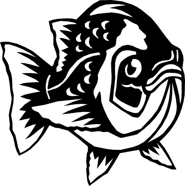 Perch Fish graphic vinyl sticker. Customize on line. aquaticperch