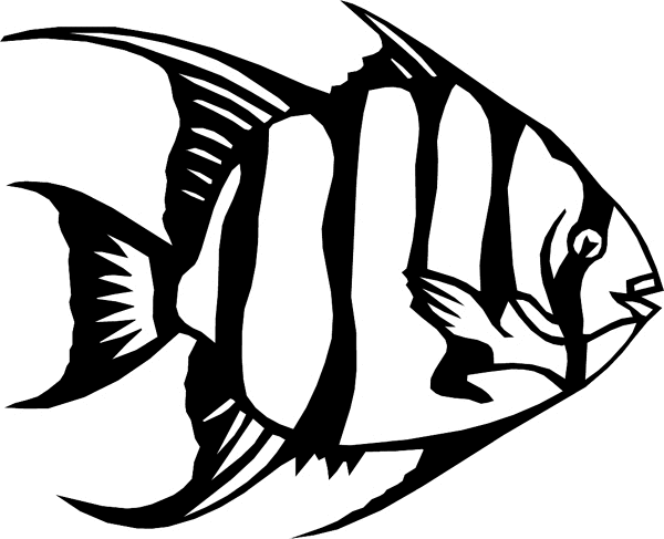 Tropical Fish vinyl graphic sticker. Personalize on line. aquaticspadfish