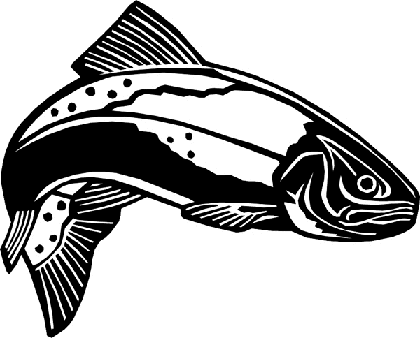 Trout Fish vinyl graphic sticker. Customize on line. aquatictrout