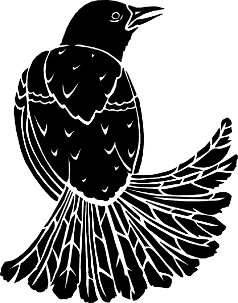 Fan-tailed Bird vinyl decal. Customize on line. birdsblakbird