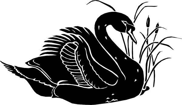 Swan Silhouette vinyl sticker. Customize on line. birdsblakswan