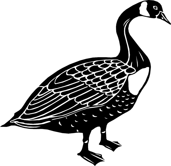 Canadian Goose vinyl sticker. Customize on line. birdscangoose