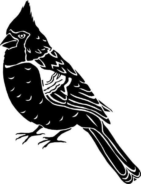 Beautiful Cardinal Bird vinyl sticker. Customize on line. birdscardinal