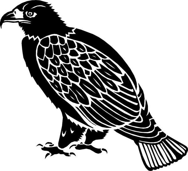 Eagle Silhouette vinyl sticker. God Mascot. Customize on line. birdseagle