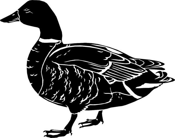 Mallard Duck vinyl graphic decal. Personalize on line. birdsmallard