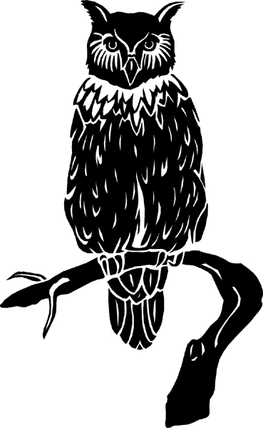 Owl On A Branch vinyl sticker. Customize on line. birdsowl