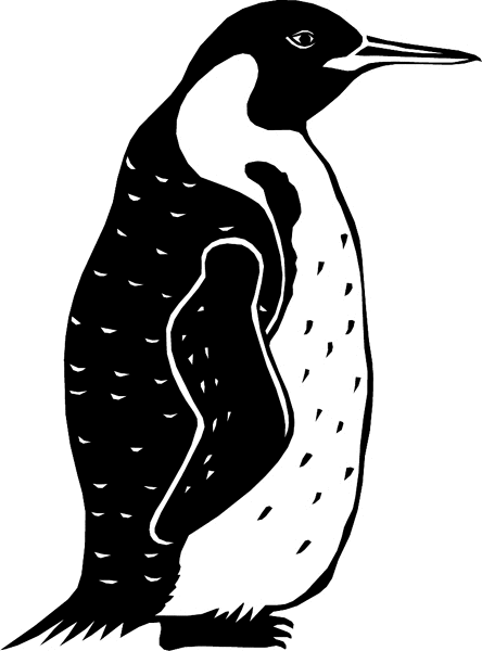 Penguin vinyl graphic decal. Customize on line. birdspenguin