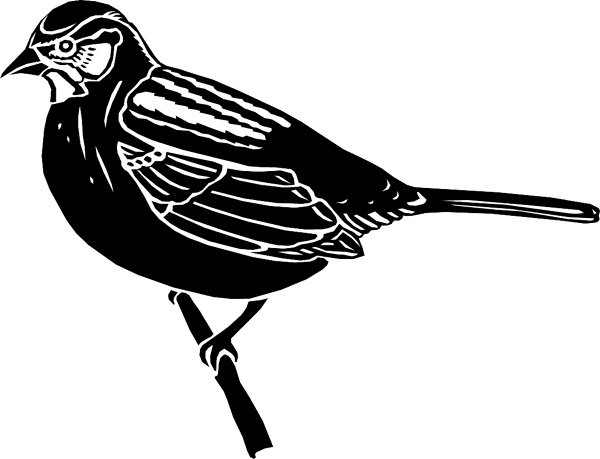 Sparrow on perch vinyl sticker. Customize on line. birdssparrow