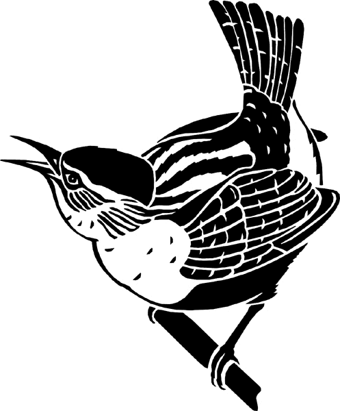 Wren bird on a branch vinyl sticker. Customize on line. birdswren