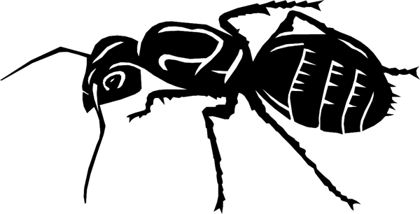 bugs6701 Ant silhouette vinyl decal. Customize on line. 