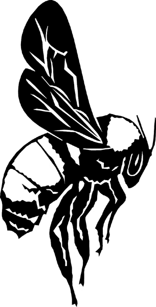 Honey Bee vinyl sticker. Customize on line. bugs6702 