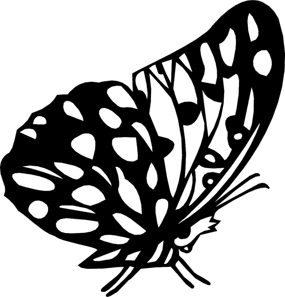 bugs6704 Butterfly vinyl graphic decal. Personalize on line. 