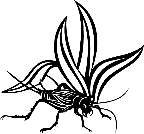 Cricket Silhouette vinyl decal. Personalize on line. bugs6709