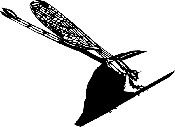 bugs6710   Dragonfly vinyl decal. Personalize on line. 