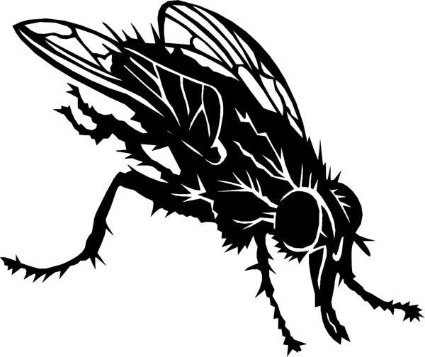 House Fly vinyl graphic sticker. Customize on line. bugs6713 fly