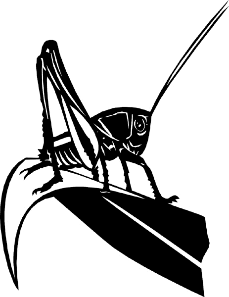 bugs6714   Grasshopper on a leaf vinyl sticker. Personalize on line. 