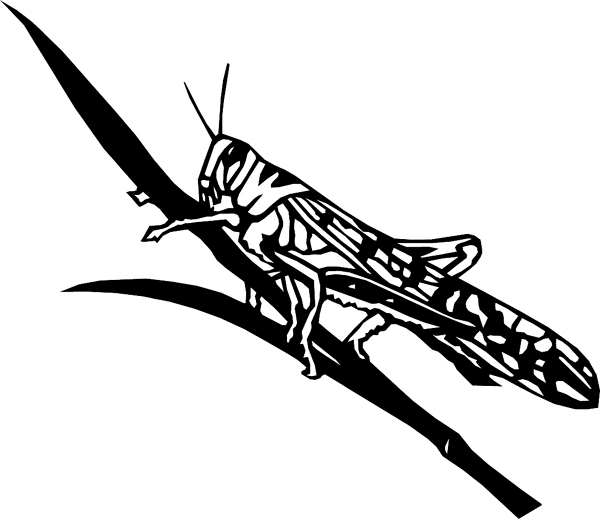 bugs6715 Grasshopper on blade of grass vinyl sticker. Customize on line. 