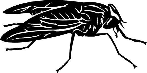 bugs6717 Horse Fly vinyl decal. Personalize on line. 